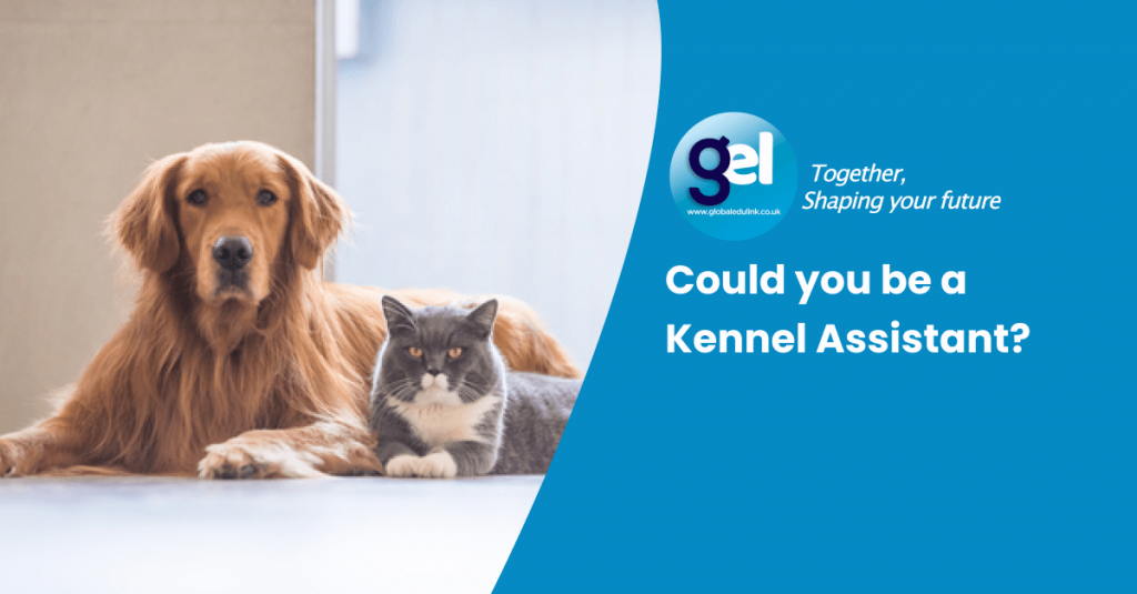 Could you be a Kennel Assistant? Read More Global Edulink