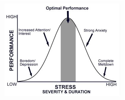stress severity duration
