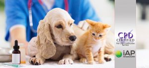 Advanced Certificate in Pet Care Level 3