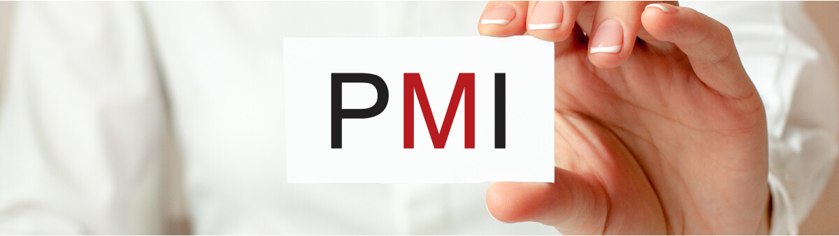 Project Management Institute (PMI)