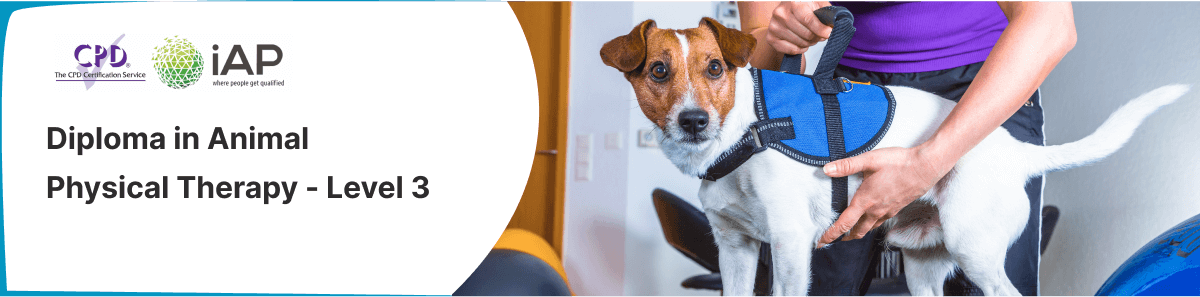 Diploma in Animal Physical Therapy - Level 3